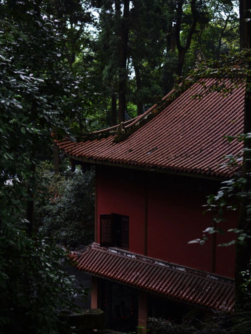 去每个地方都喜欢逛当地的寺庙,青城山的普照寺,每年都会来很多次.