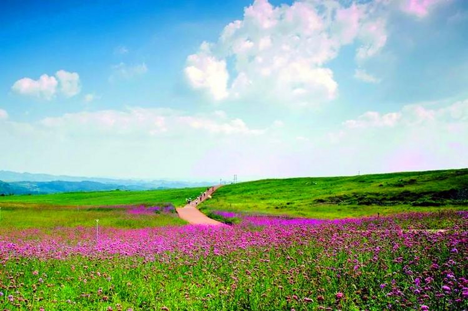 贵州放马坪高原草场:探寻高原之神秘  放马坪高原草场,位于贵州兴仁