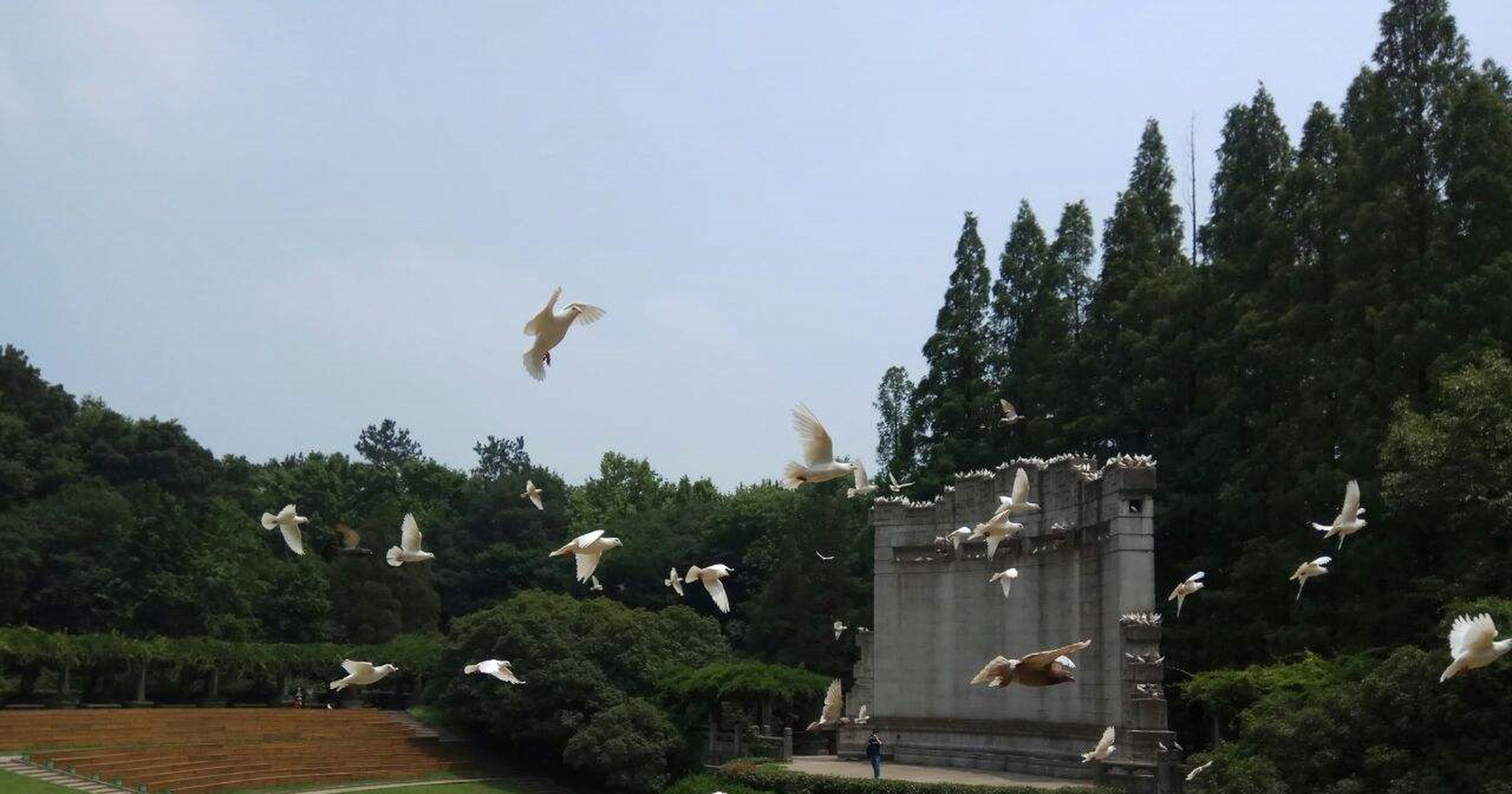 这个景观是江苏很有魅力的景点之一,它的存在感本身也就比较高,更是