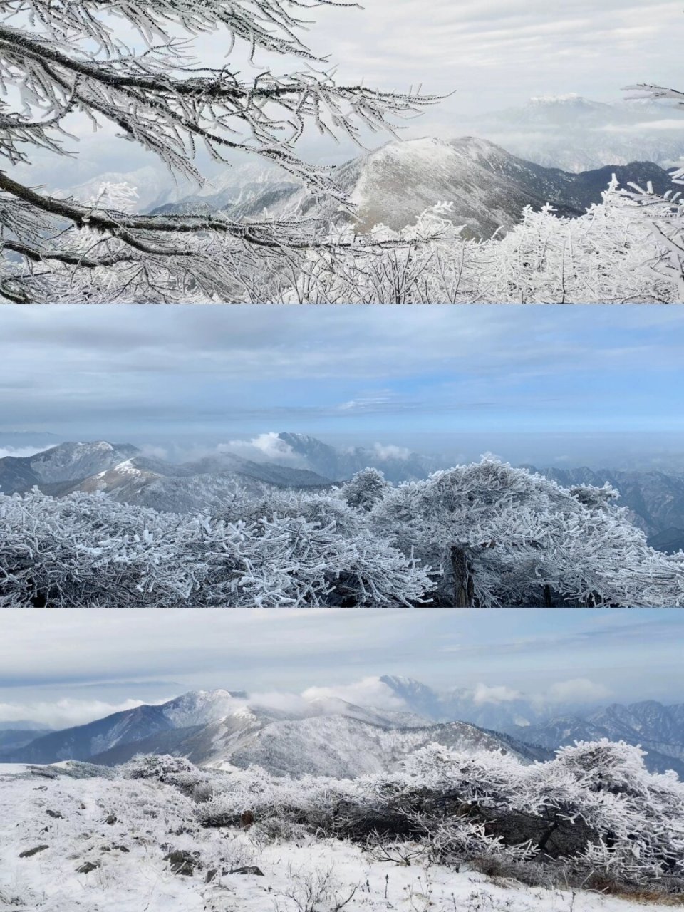 秦岭雪景哪里最美图片