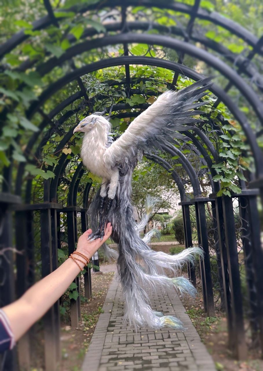 早起,遛鸟.  大爷问这是什么鸟,我说"罗刹鸟"