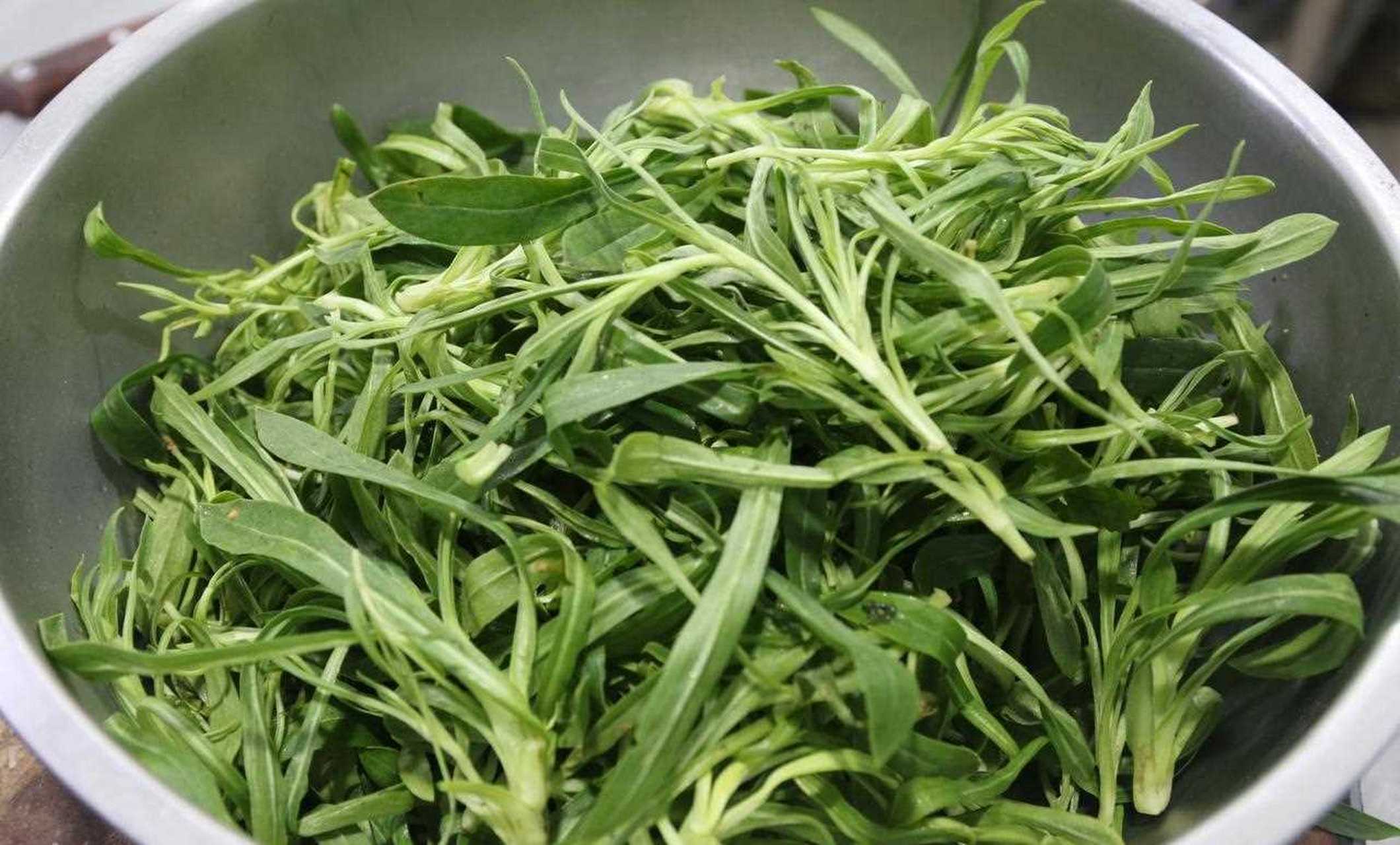 扫帚苗也能做美食?
