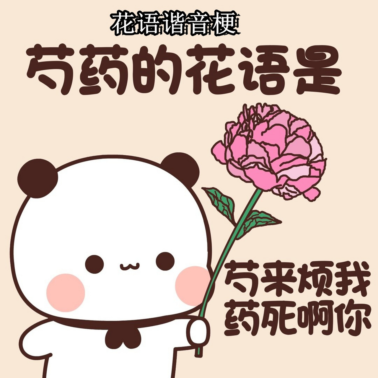 花语谐音梗  芍药花语:依依惜别,难舍难分;执子之手,与子偕老.