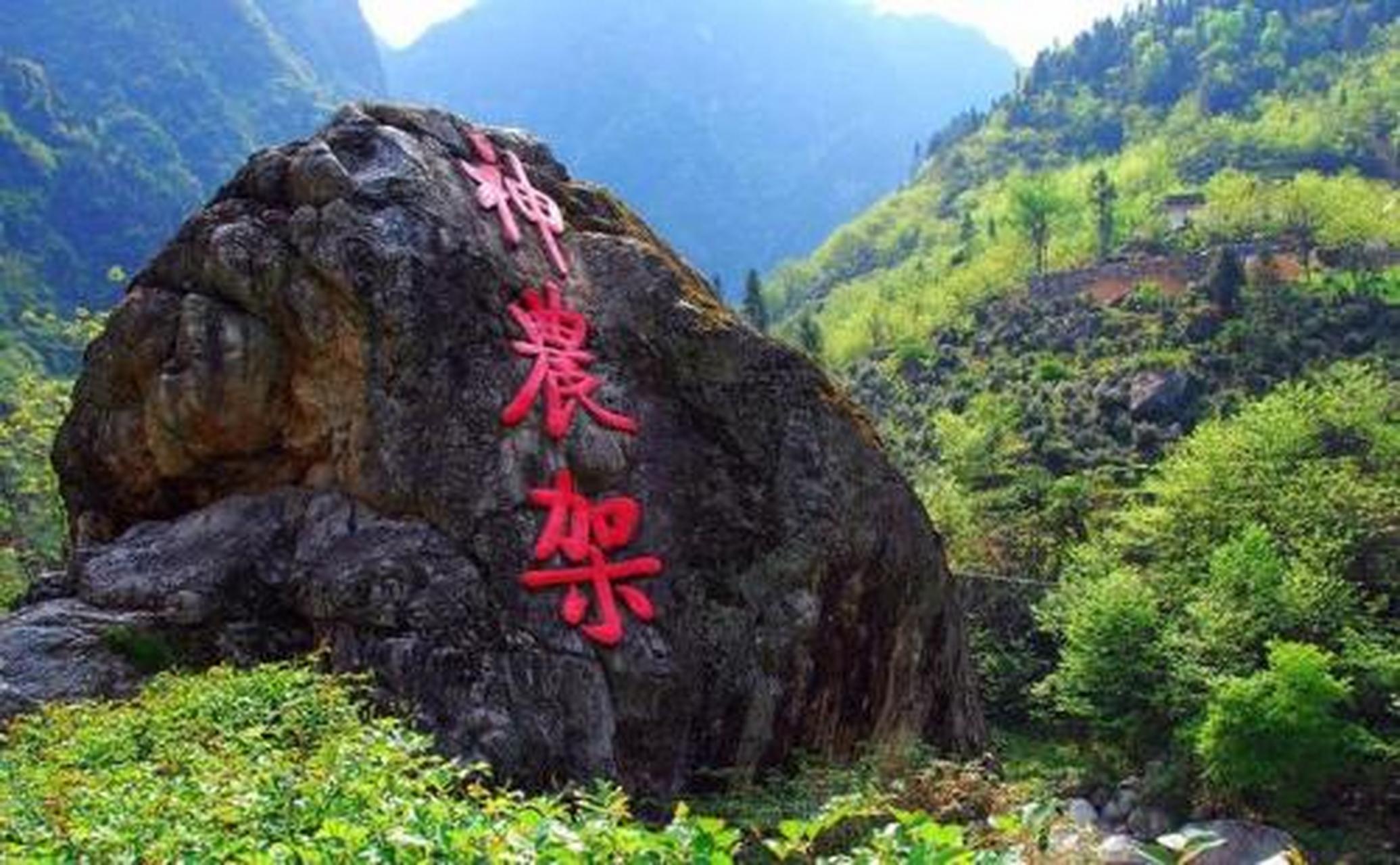 夏日生活图鉴# 神农架旅游区:神农架自然保护区位于湖北省西部边陲