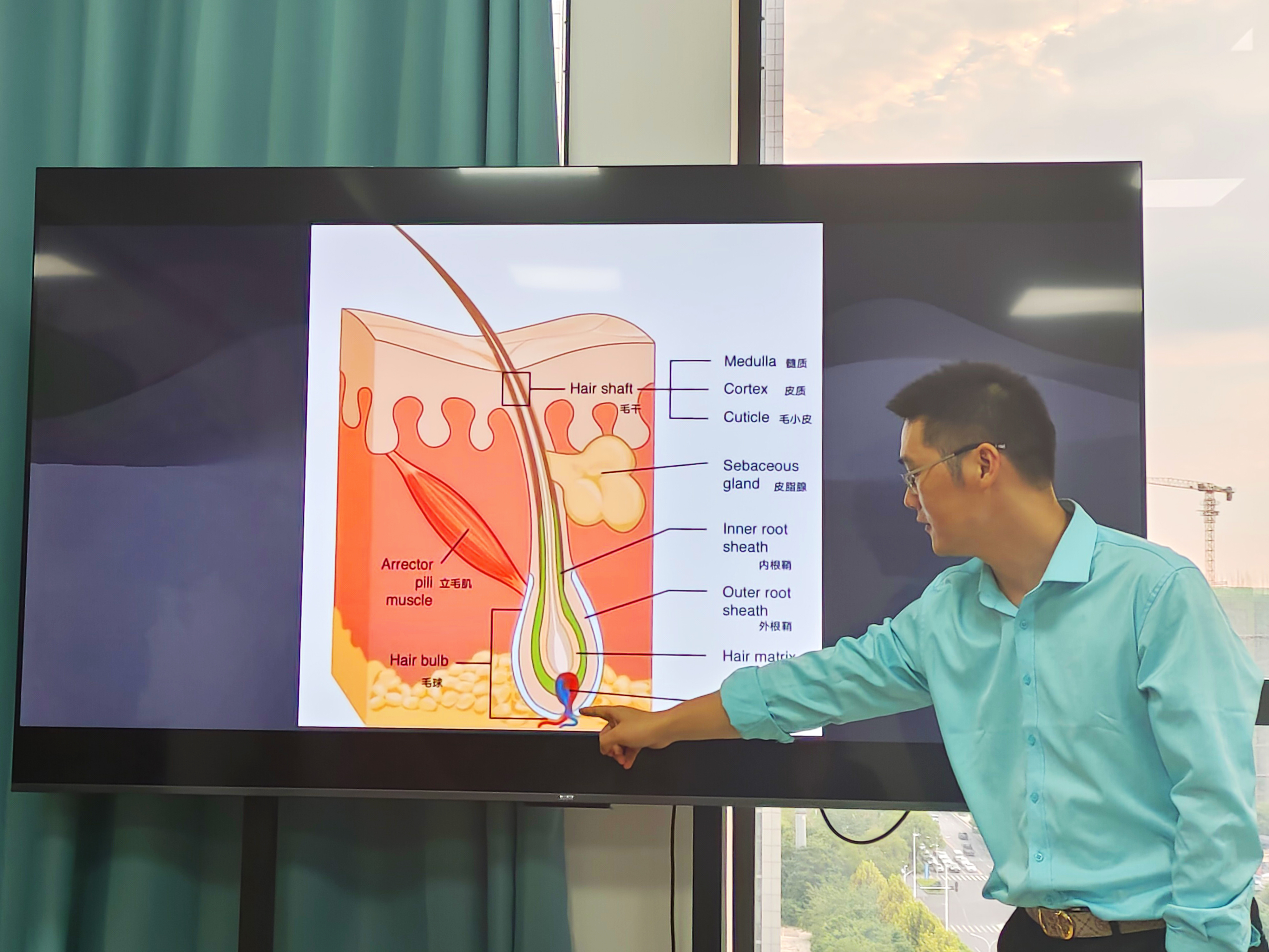这项技术可以通过毛囊克隆再生医学技术在短时间获取自体同源毛囊细胞