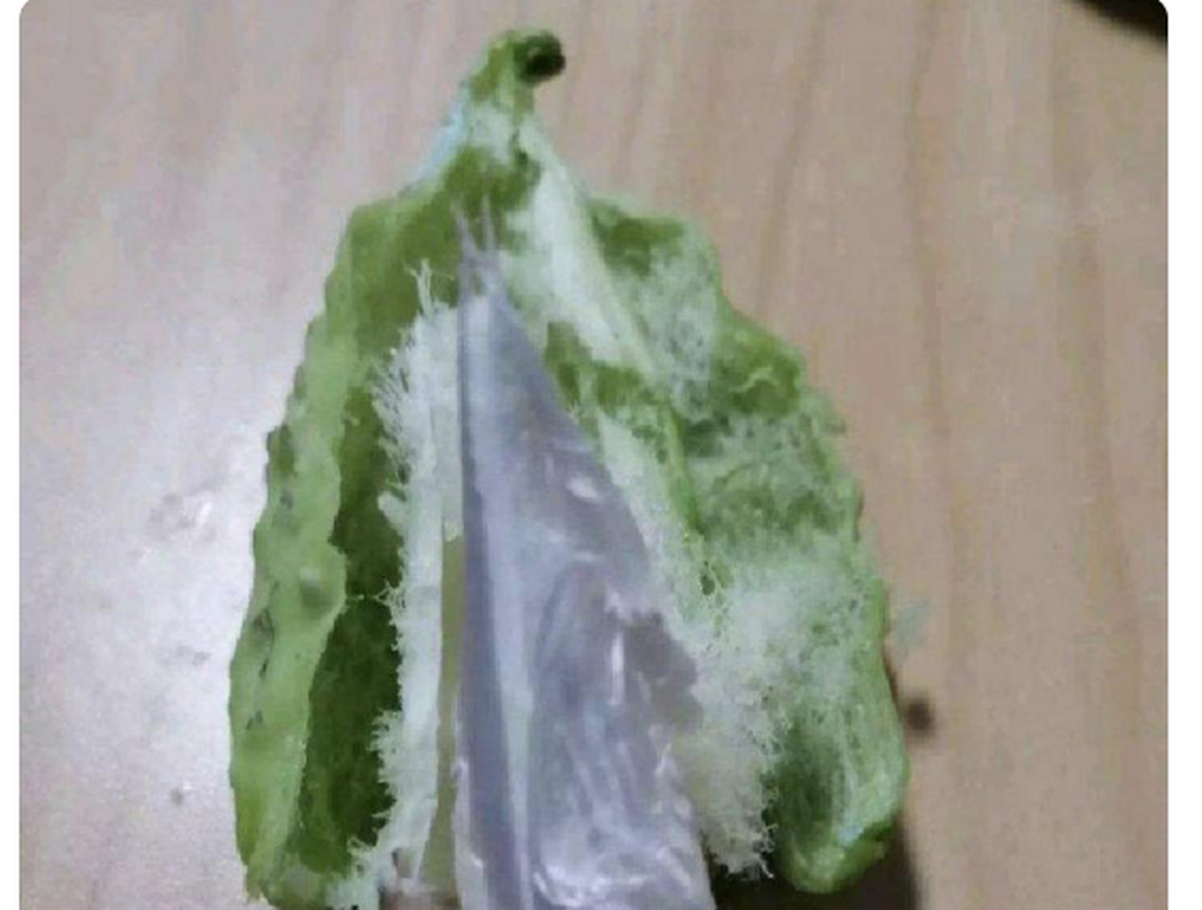 南方朋友寄给我的水果.说是飘飘角.