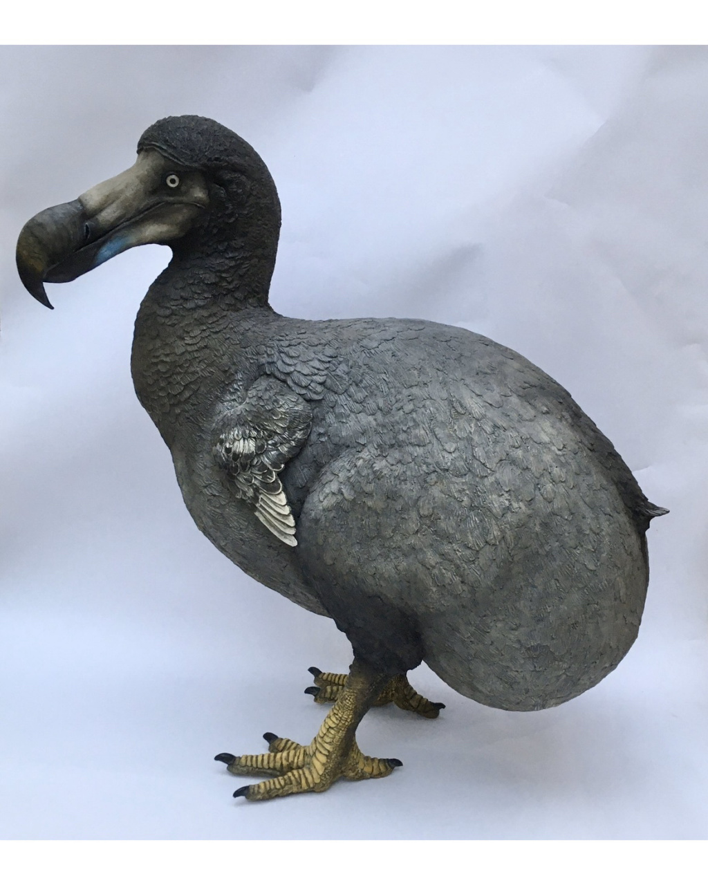 科学家正在"复活"灭绝300多年的渡渡鸟 渡渡鸟08是种长得呆呆的