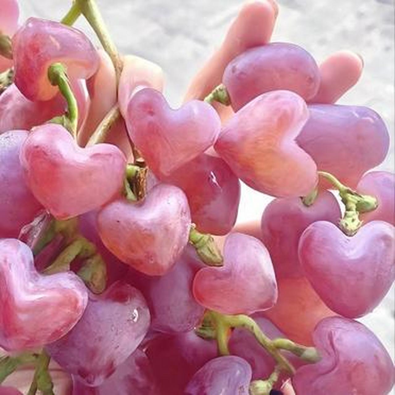 浪漫的人,种出来的葡萄都是心型的.