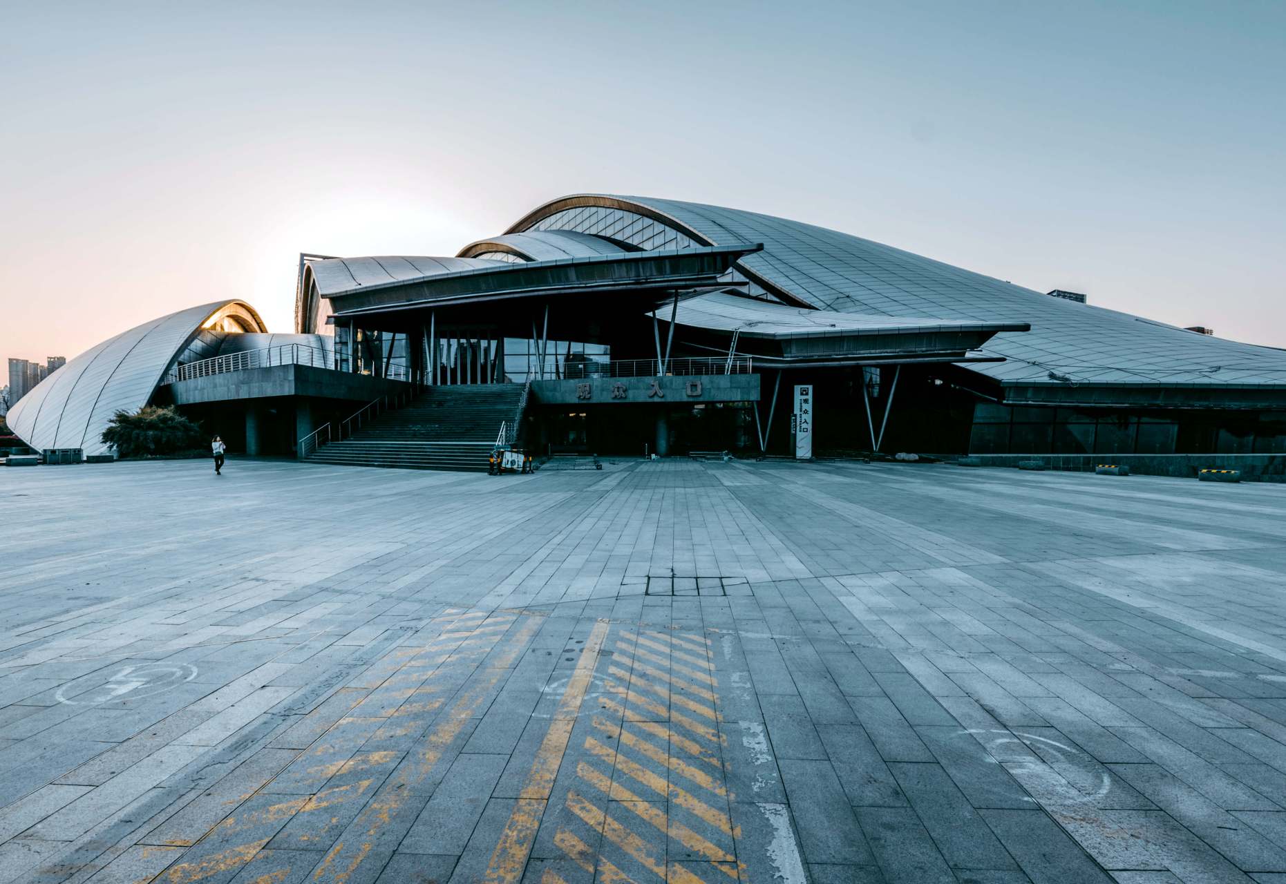 合肥大剧院,又名天鹅湖大剧院,由音乐厅,歌剧厅,多功能厅等部分组成