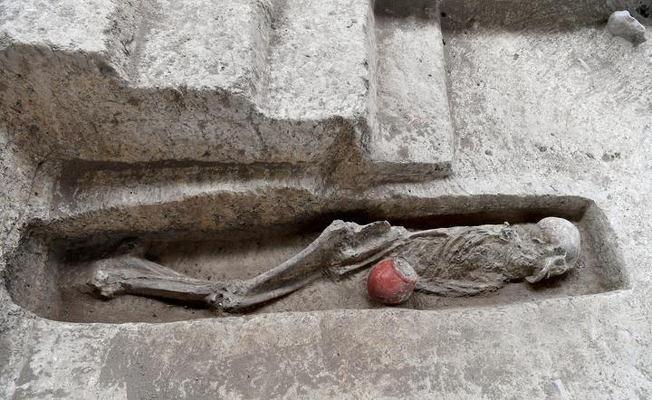 发现考古# 都说南方人个子矮,这次"义乌桥头遗址"出土的8000年前"