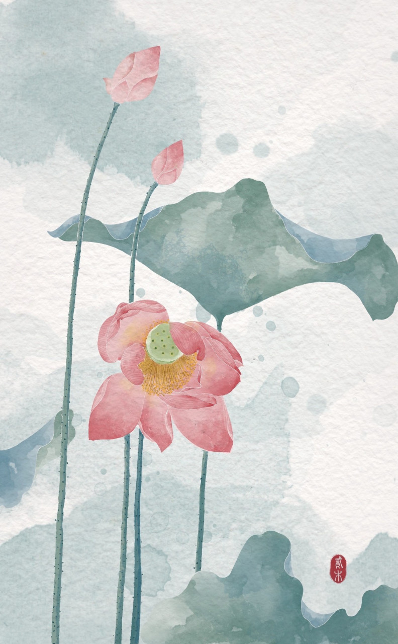 水彩荷花 插画师:贰木 #古风插画