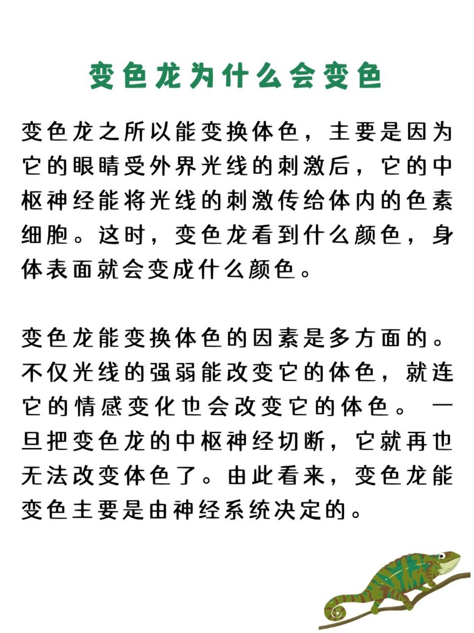 变色龙为什么会变色 变色龙没有固定的颜色,当它守在草丛中或树枝上