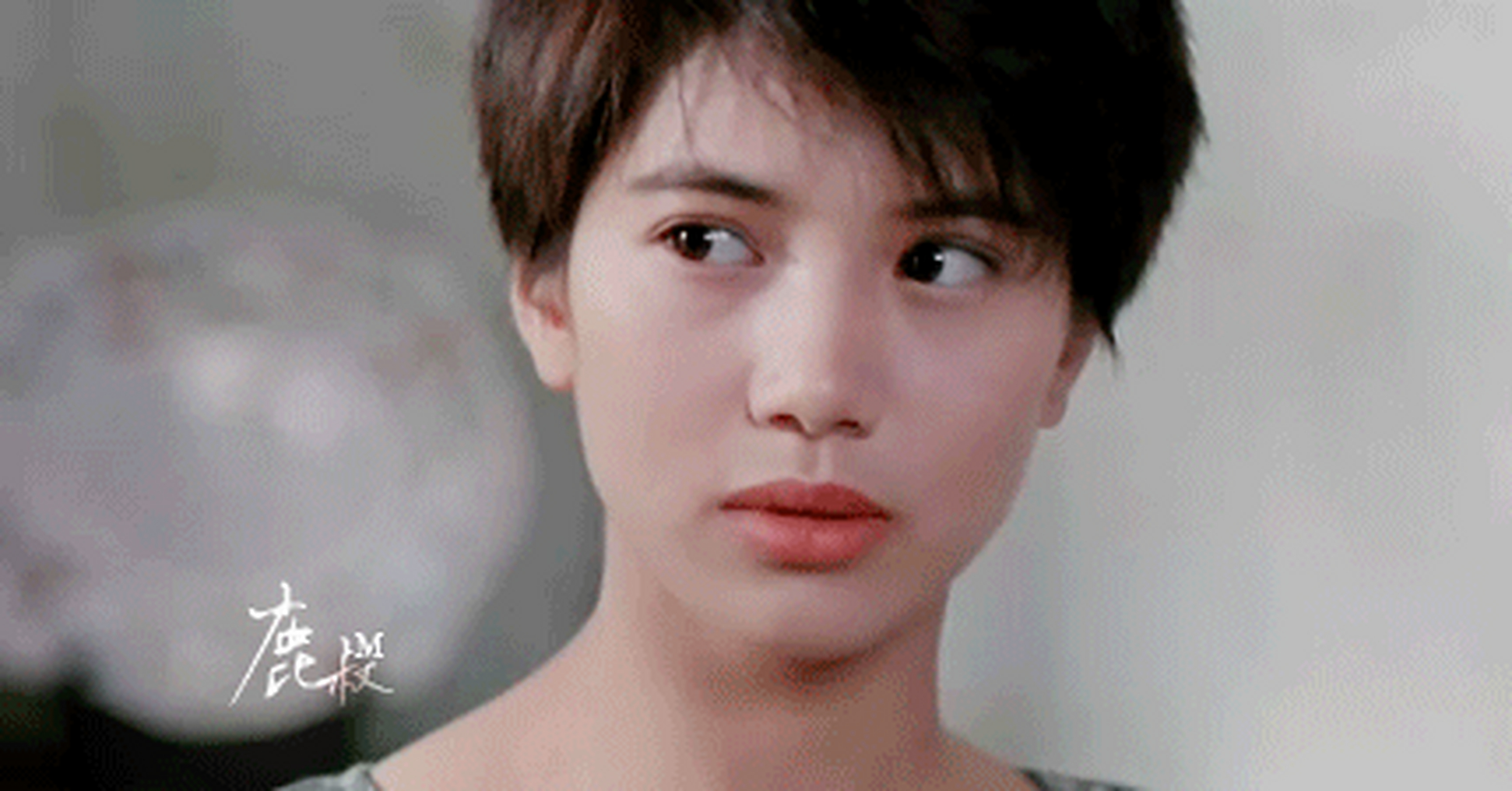 袁咏仪凭借爱情片《金枝玉叶》蝉联香港电影金像奖最佳女主角奖.