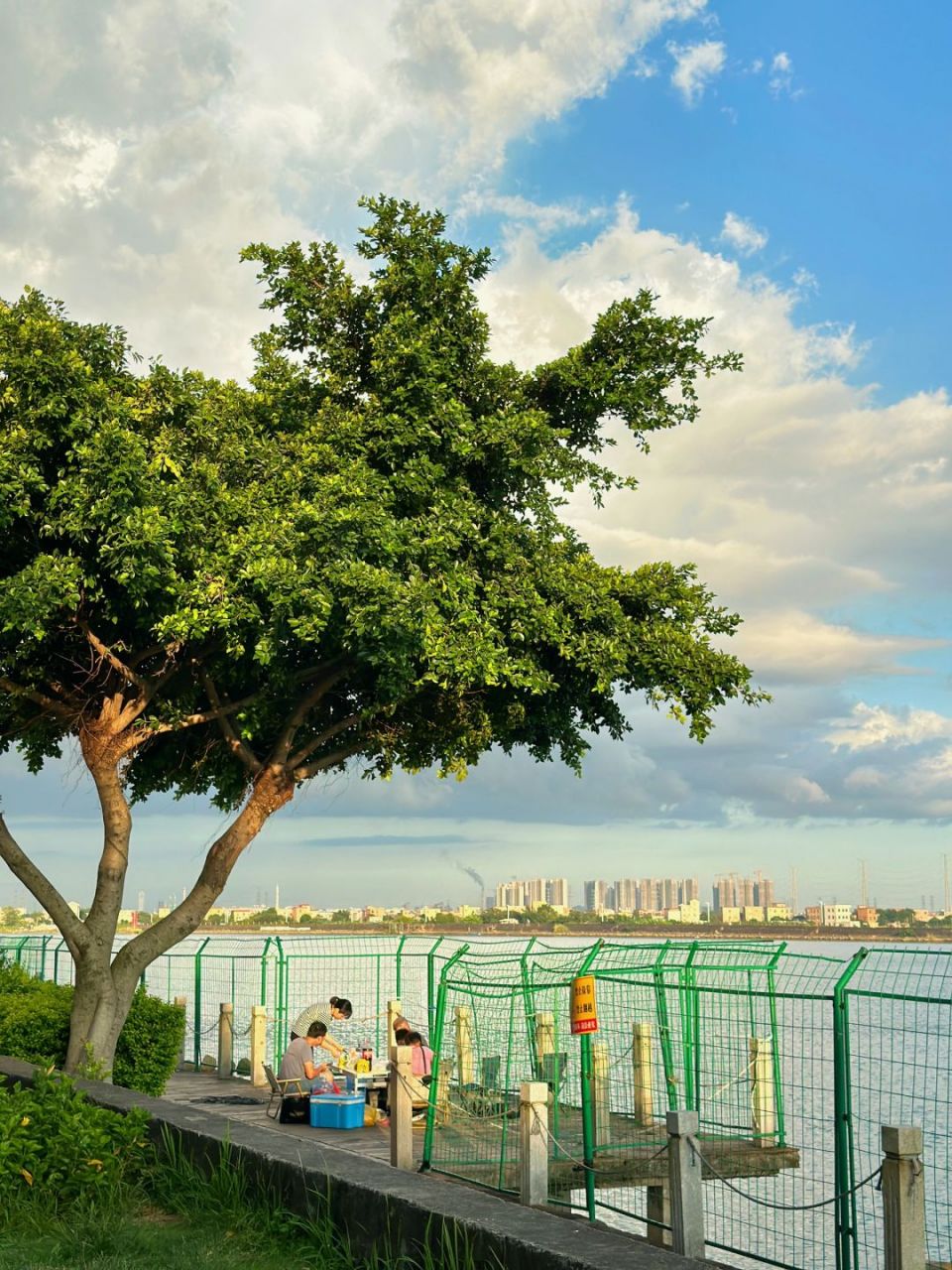 大刀沙岛被低估的番禺小岛渔村小众安利	 番禺的小众江心岛——大刀沙