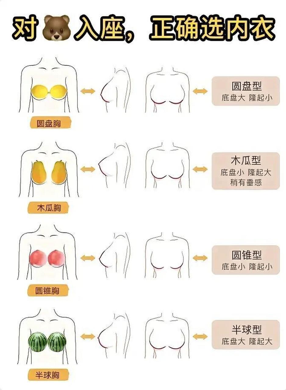 胸型对照表图片