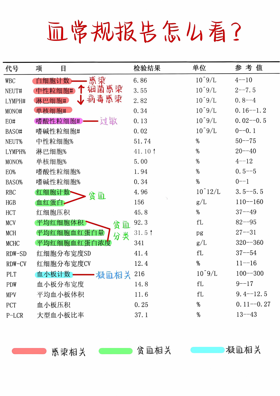 血常规解读 大家平时口中的的血常规报告单,密密麻麻的一张化验单上