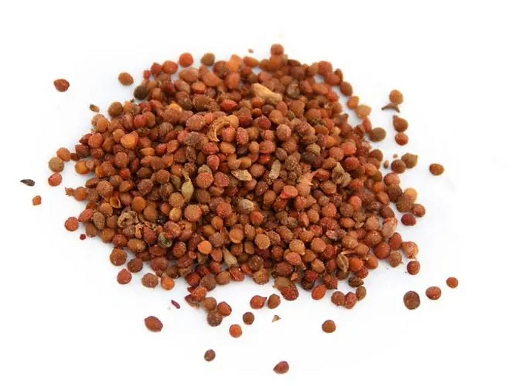 中药楮实子功效解析:补肾清肝,明目利尿【仅供参考】  中药楮实子:性