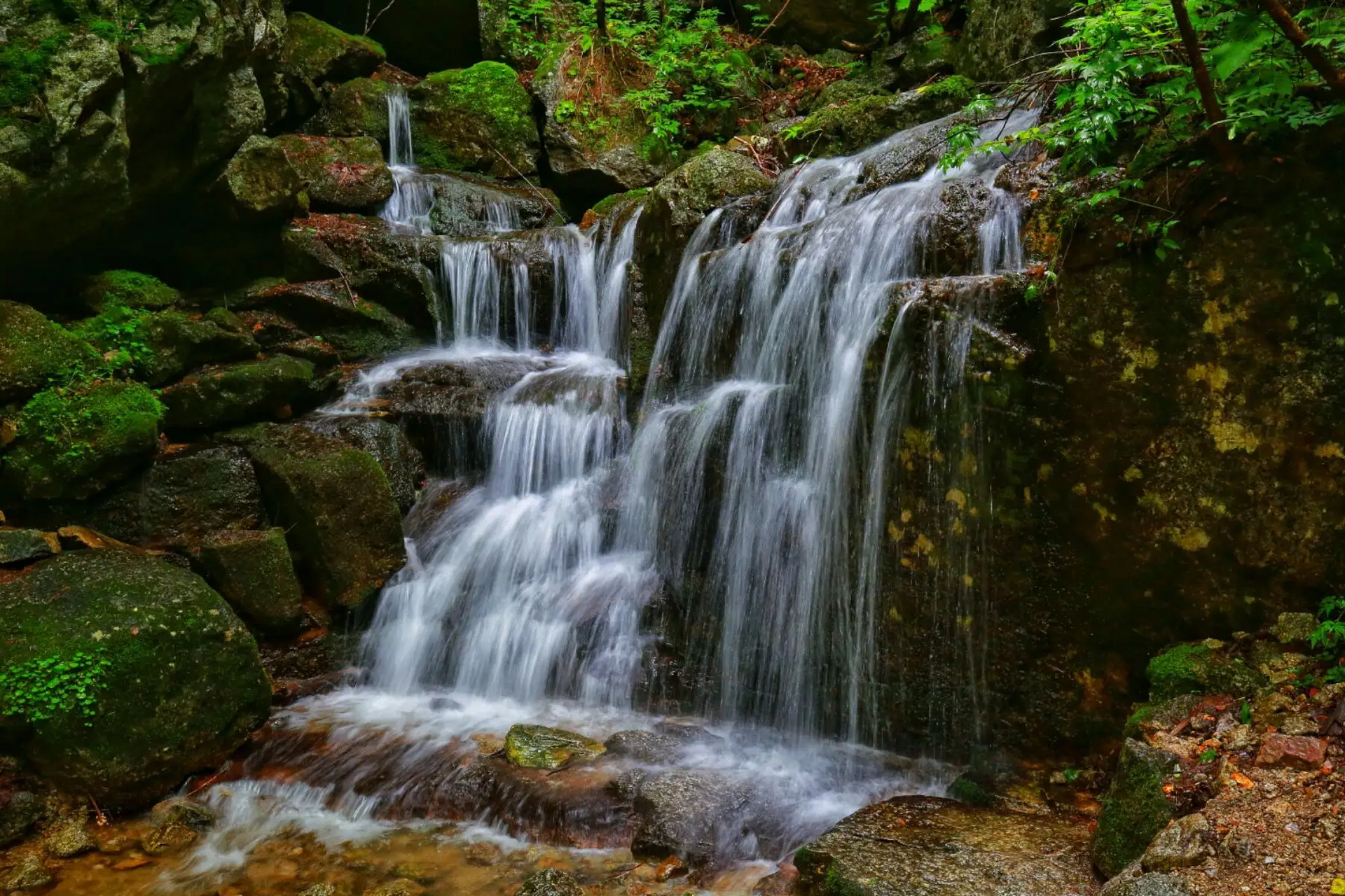 还没想好的话,不妨来丹东的百瀑峡游览一番吧.#2023小雪节气