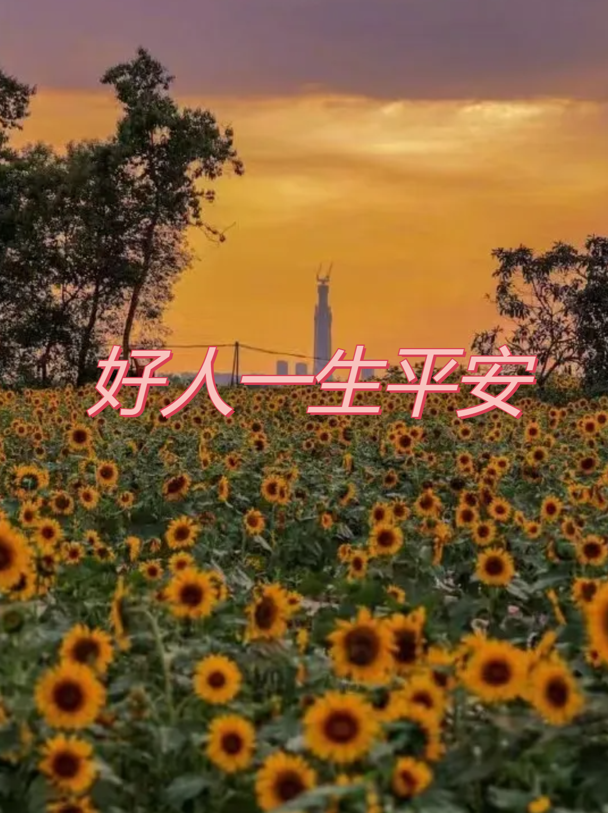 好人一生平安 在我的人生经历中,我遇到了许多好人,他们在我困难的