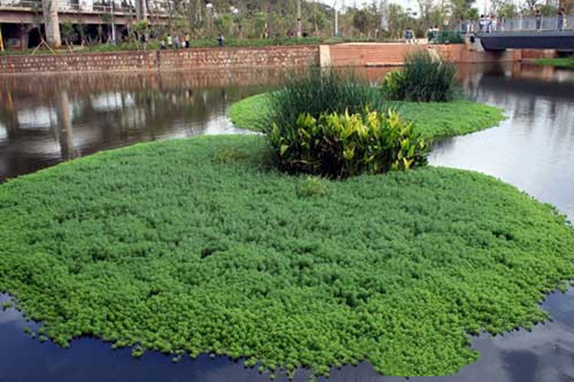 河道景观生态浮岛通过绿化和景观布局,为城市河道创造了一个美丽的