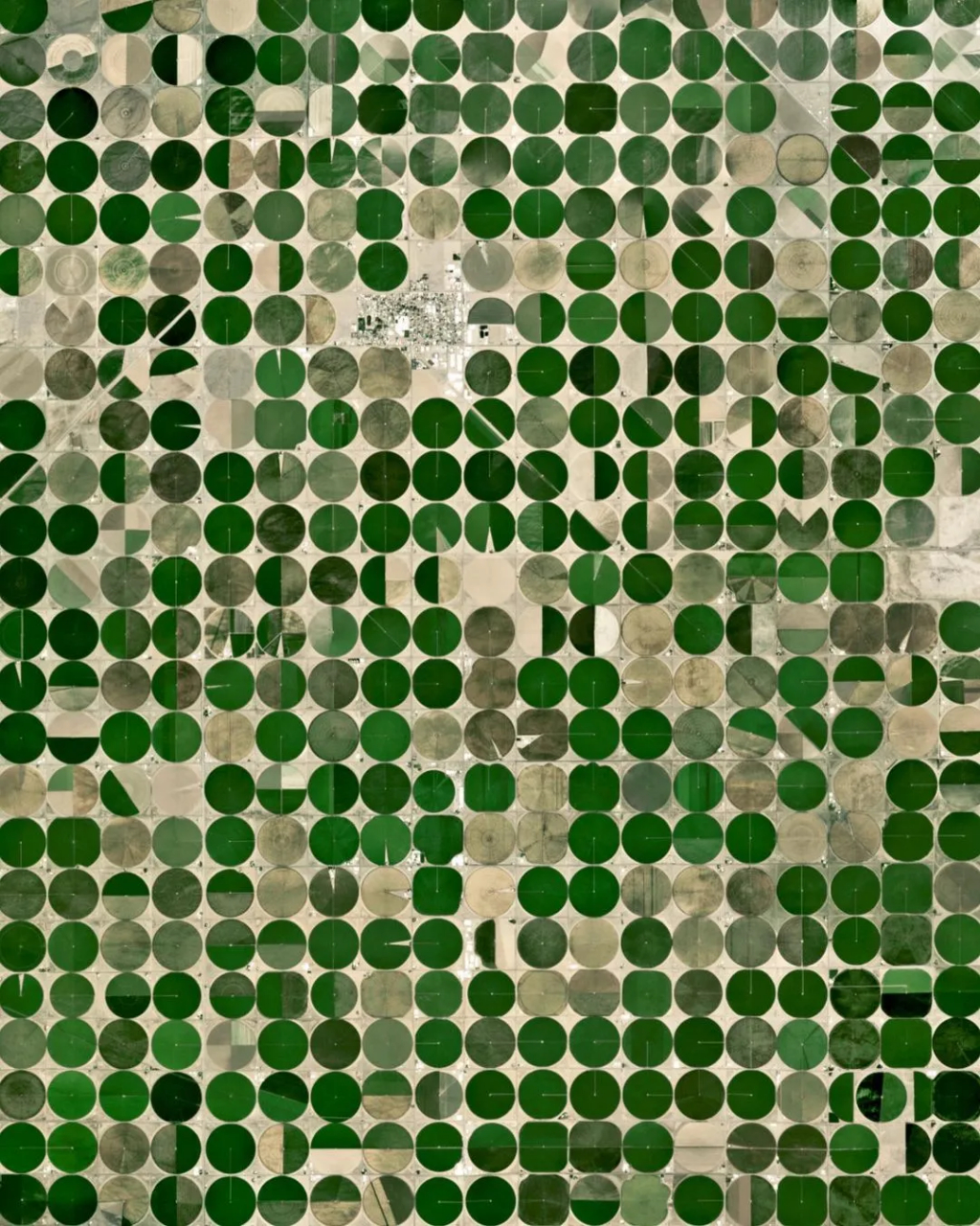 卫星视角下的沙特阿拉伯枢轴灌溉圈农业景观,每个麦田圈直径约 一公里