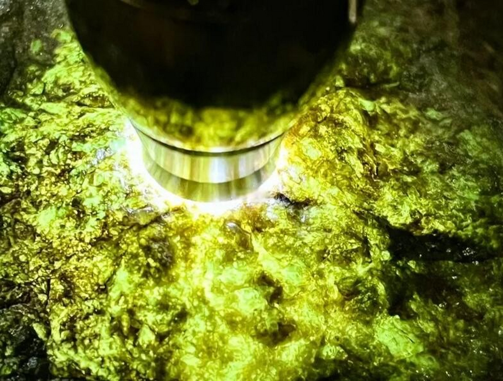 翡翠原石# #点击头像看直播# 南齐场口,重3.