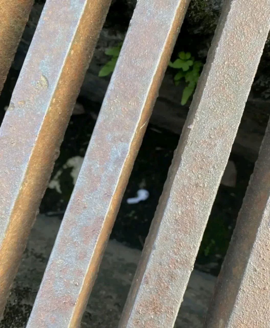 今天运气不好[你懂的]