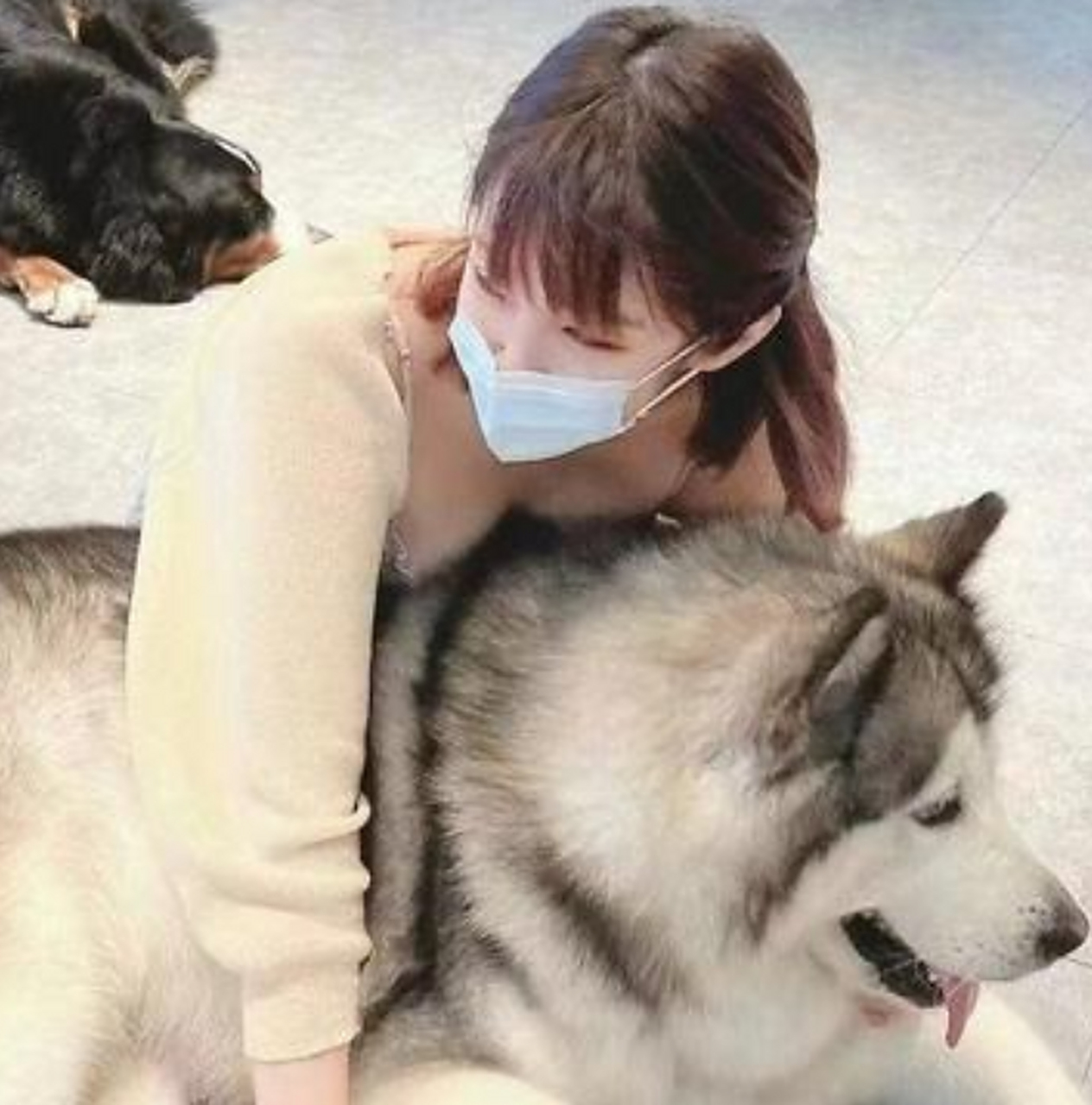 大家觉得养一只大狗狗最大的好处是什么?