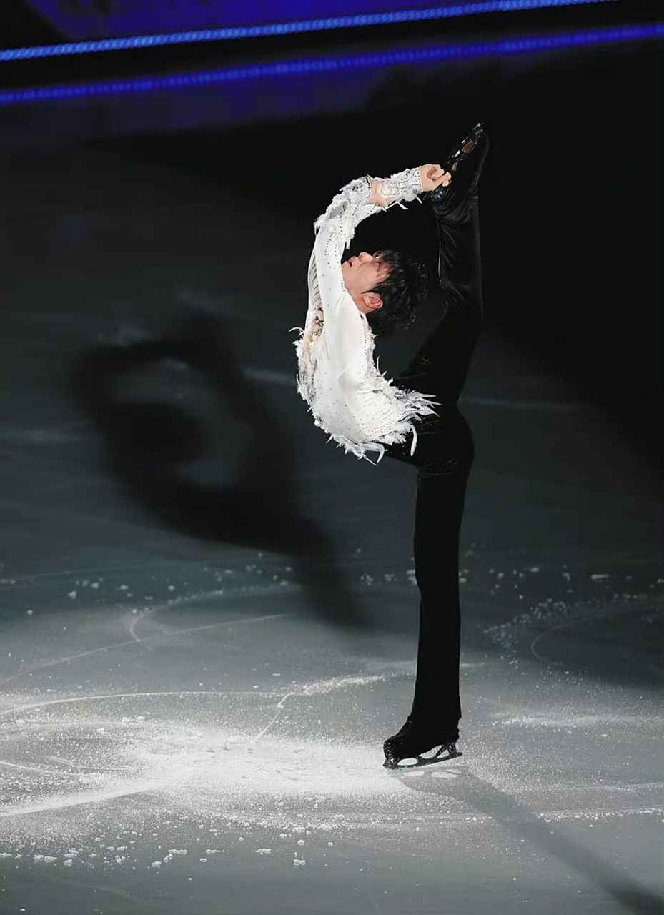 大白鹅的贝尔曼选择,美丽的天鹅06  #羽生结弦