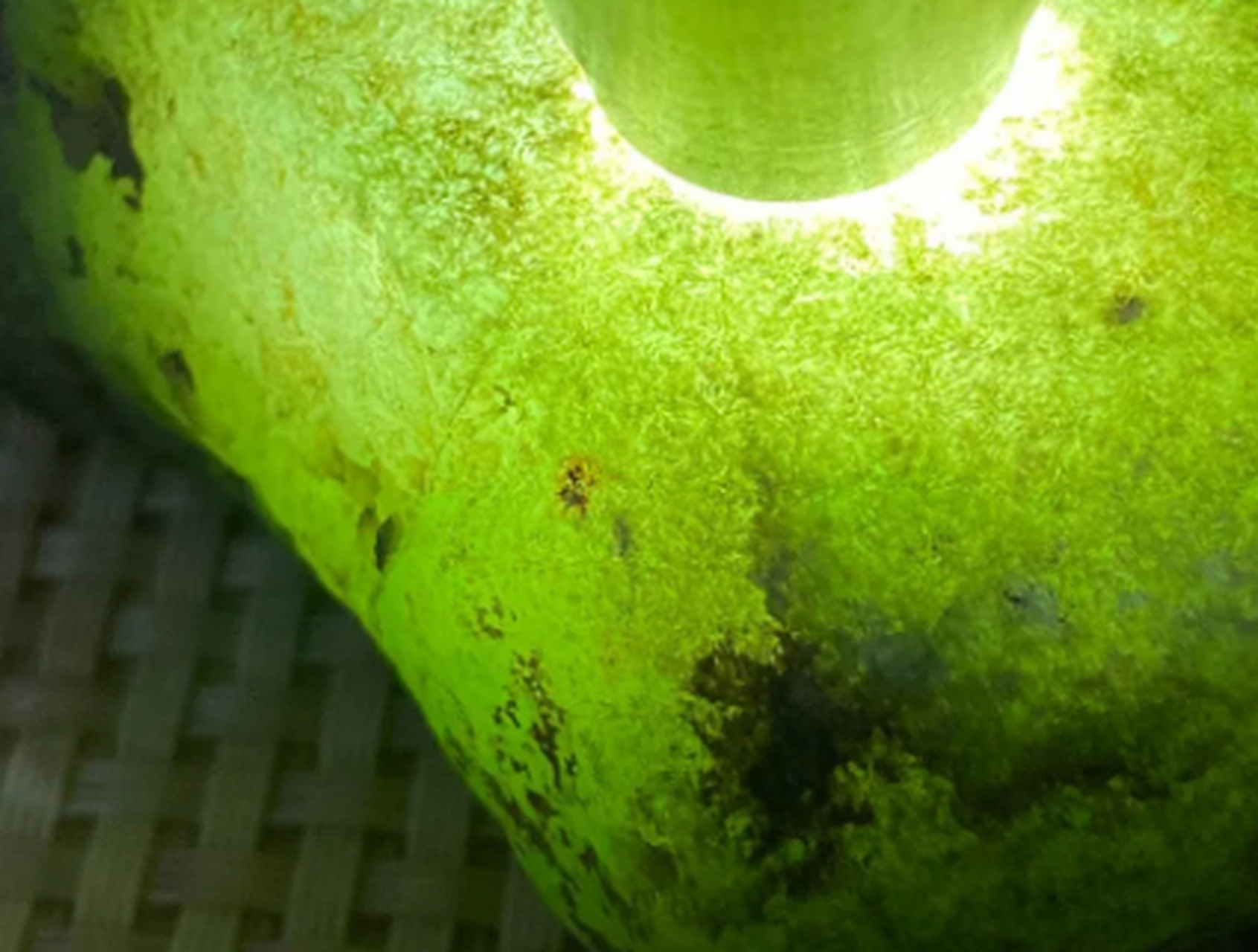 点击头像看直播##翡翠原石#荧光感强,冰味足,打灯全身表现一致,瓶壳