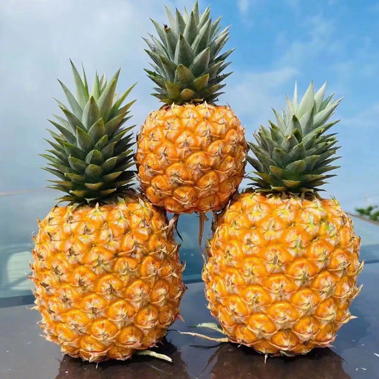 『【海南君选】海南澄迈芒果凤梨 季节限定 特有芒果清香 甜度高 顺丰