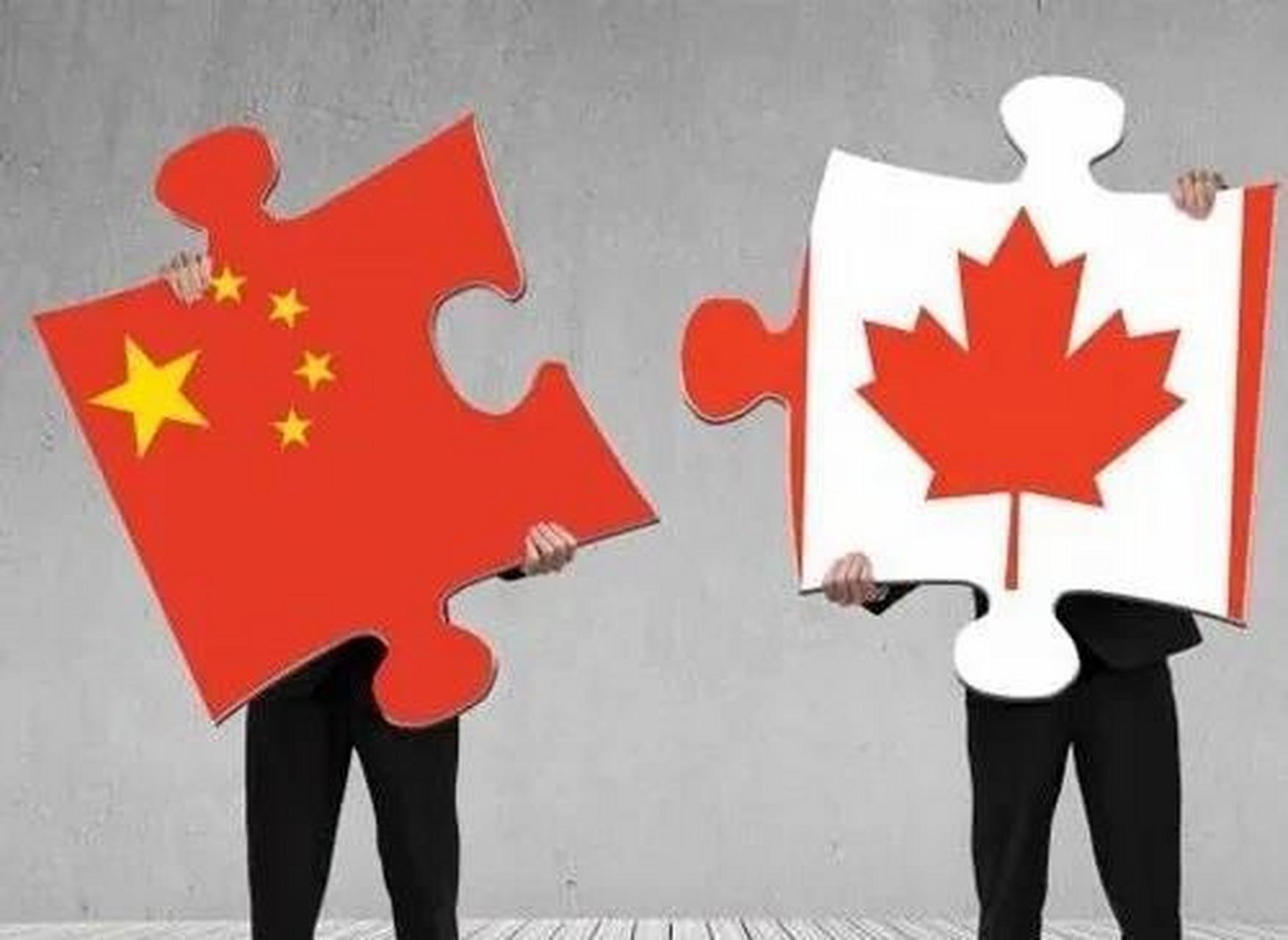 华人自述:告别八年的加拿大生活,回国不到半年,感慨万千… 去年12月初