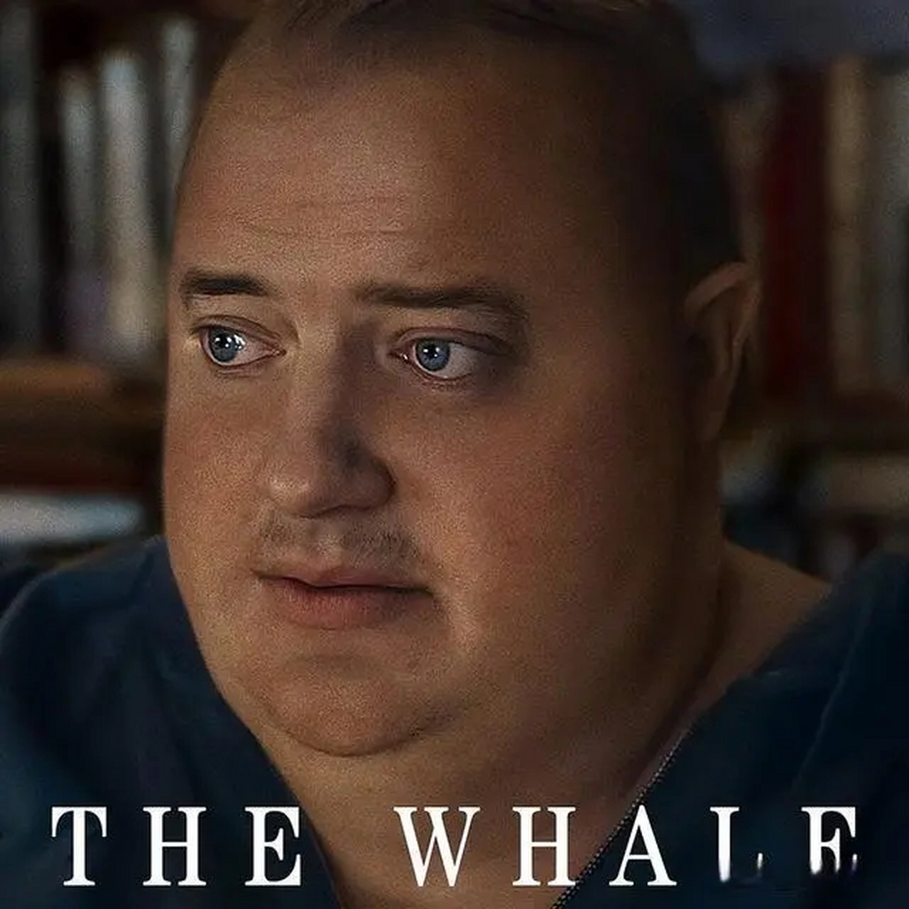 新晋奥斯卡影帝布兰登·费舍,对他的印象一直停留在《木乃伊》时期,那