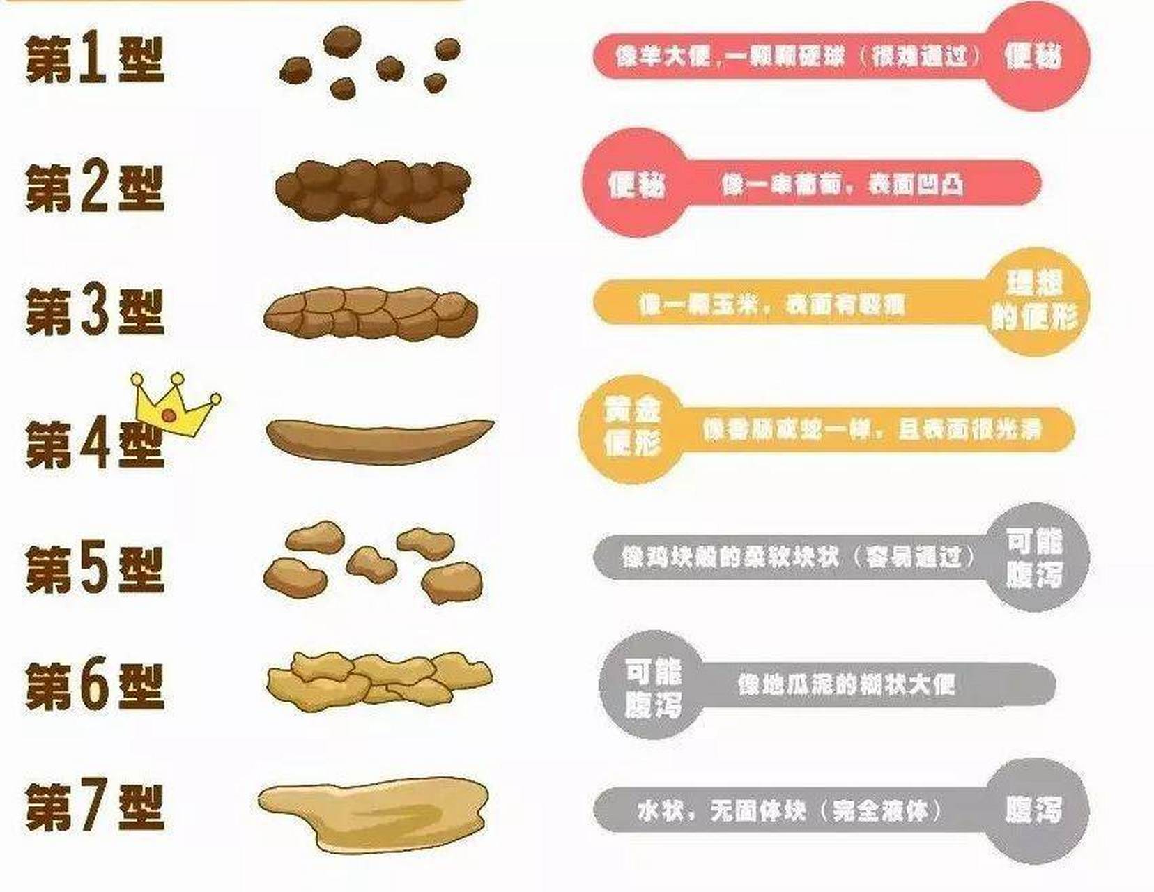 肠道健康跟便便的形状也非常有关系的,大便的形状分为一到七等