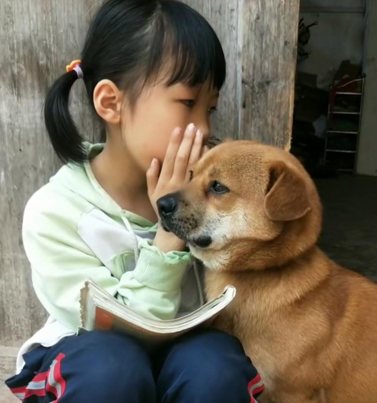 宝贝你跟狗狗说悄悄话它能听懂吗