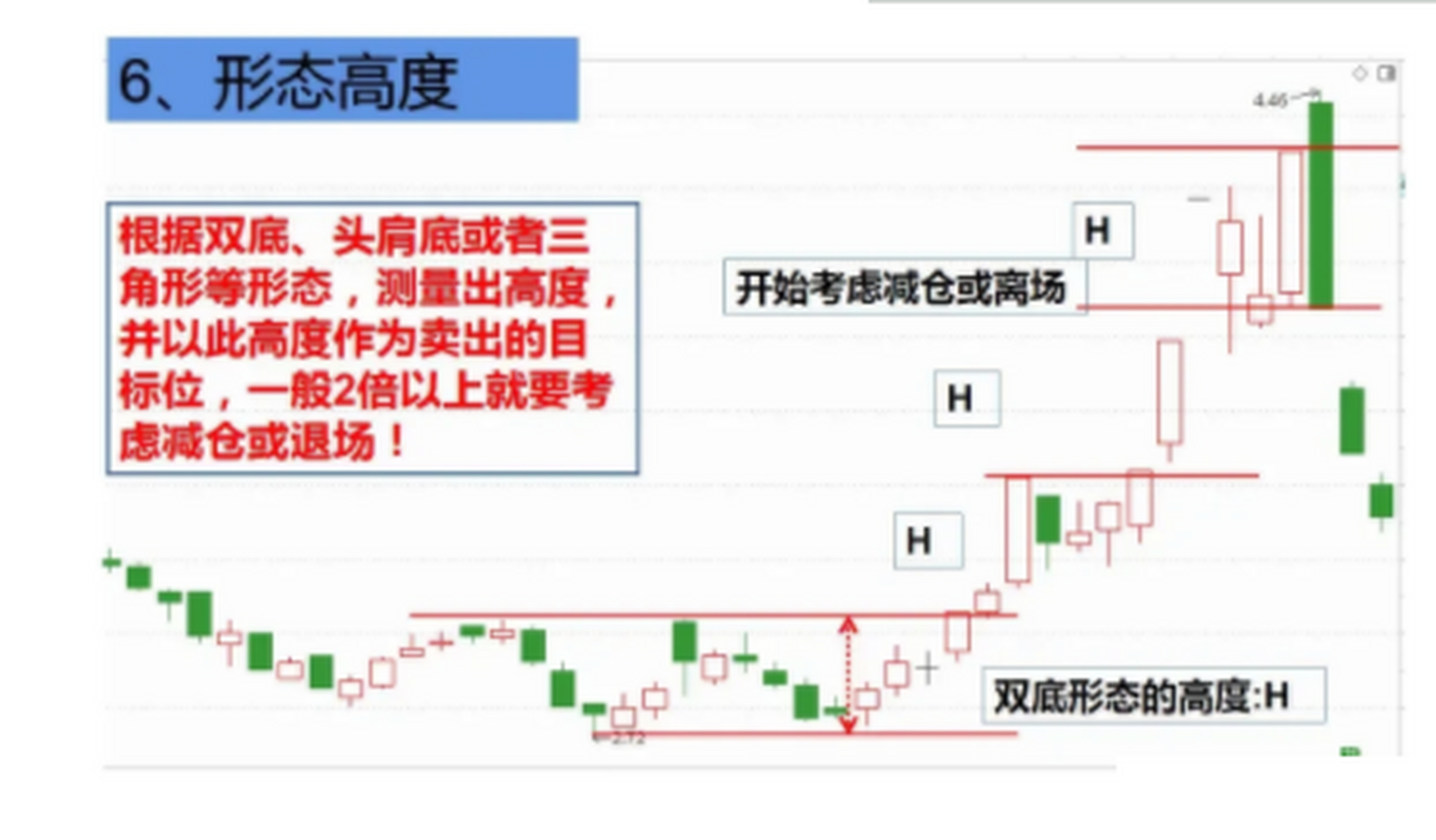 死蜘蛛形态图解图片