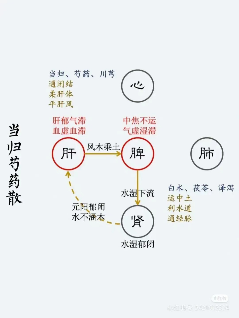 人體就是一個圓,升降出入,氣機升降.