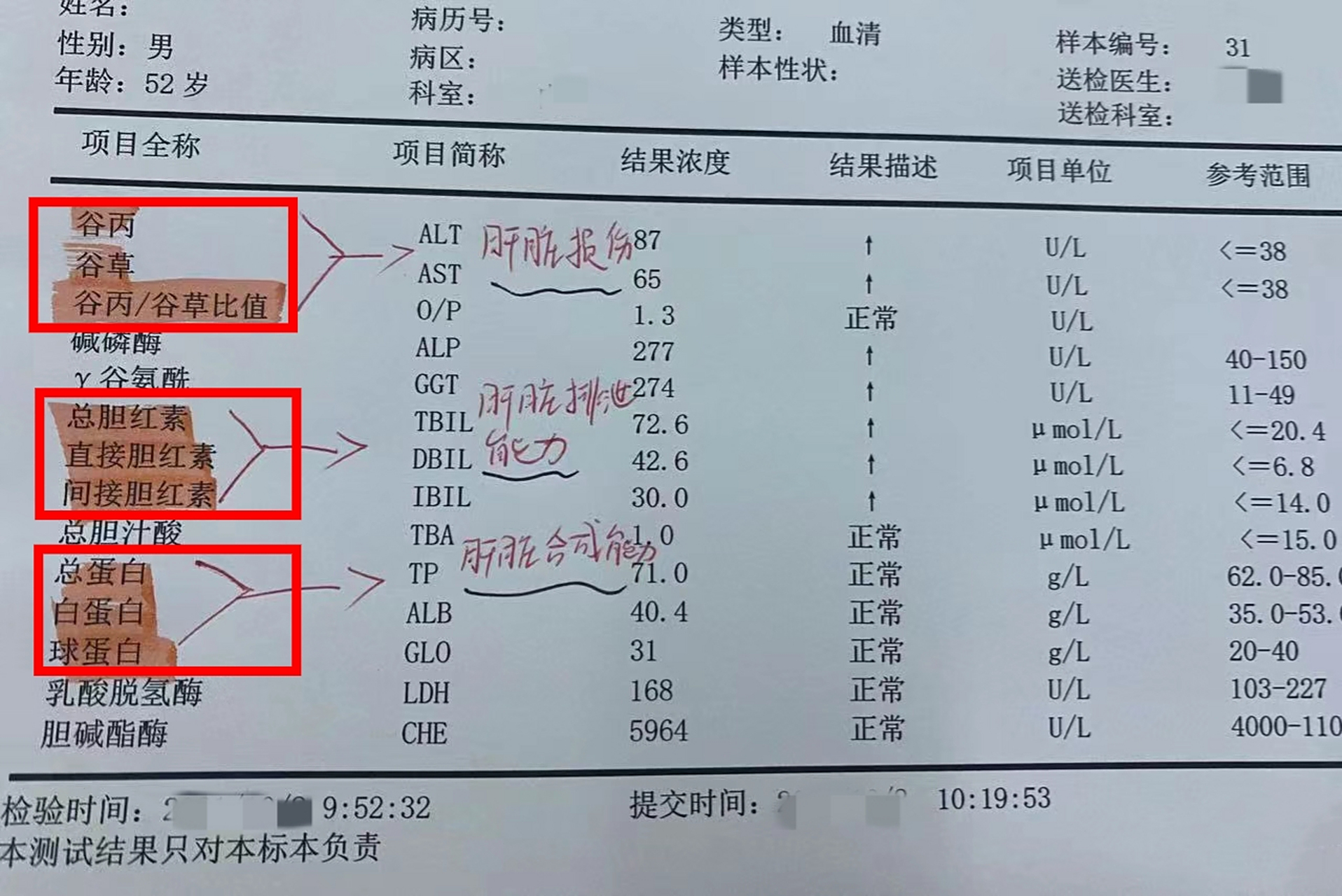 一张图 教你看懂肝功能#肝功能