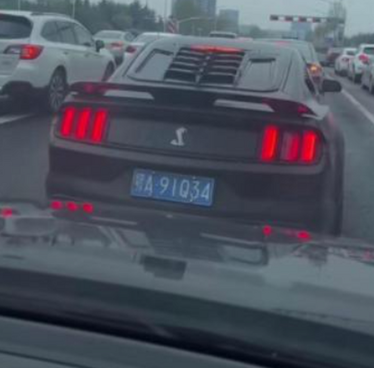 什么时候汽车出蛇牌了