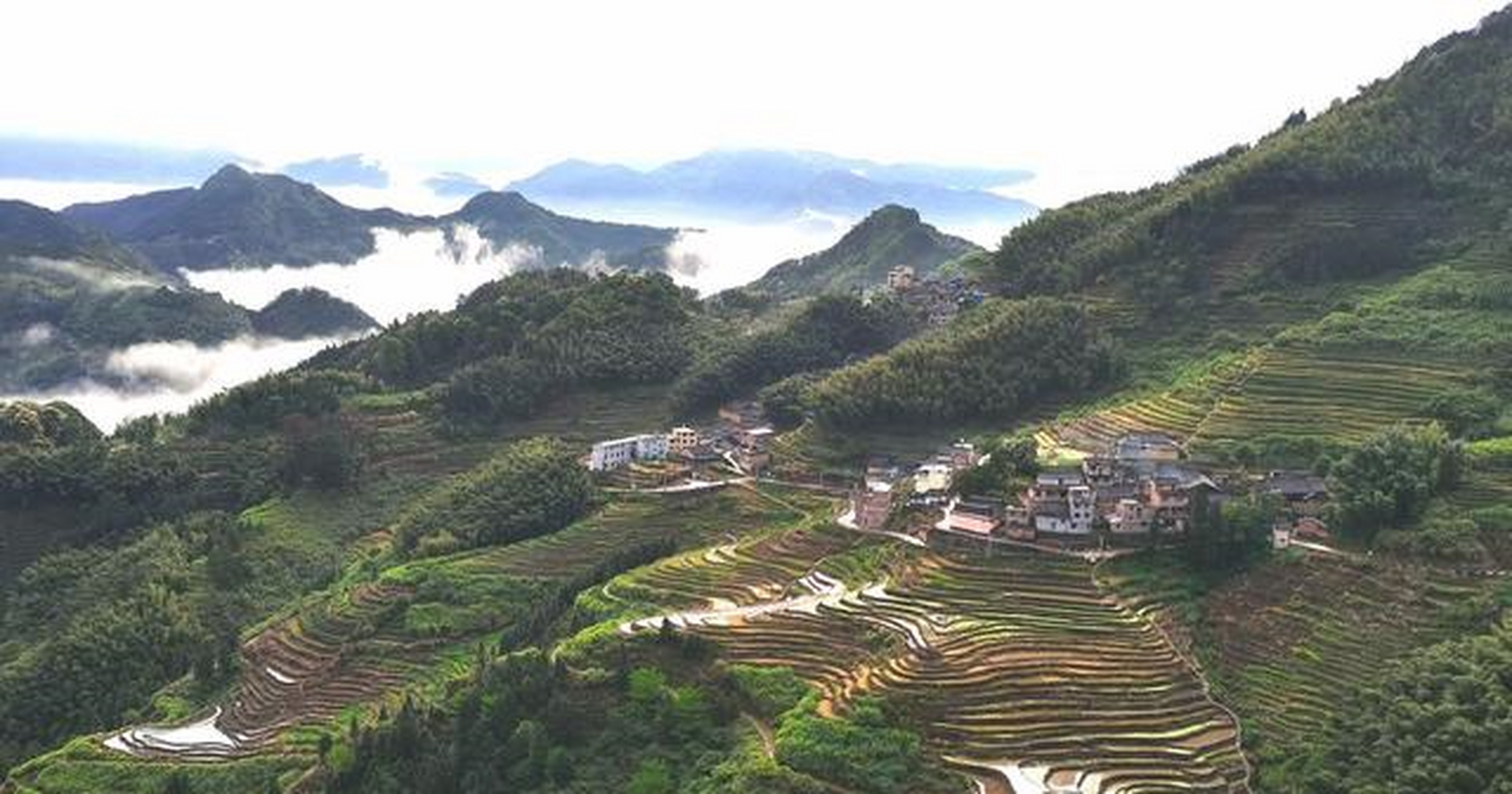 福建宁德福安市晓阳镇有一个原生态小山村,它的名字叫马洋村!