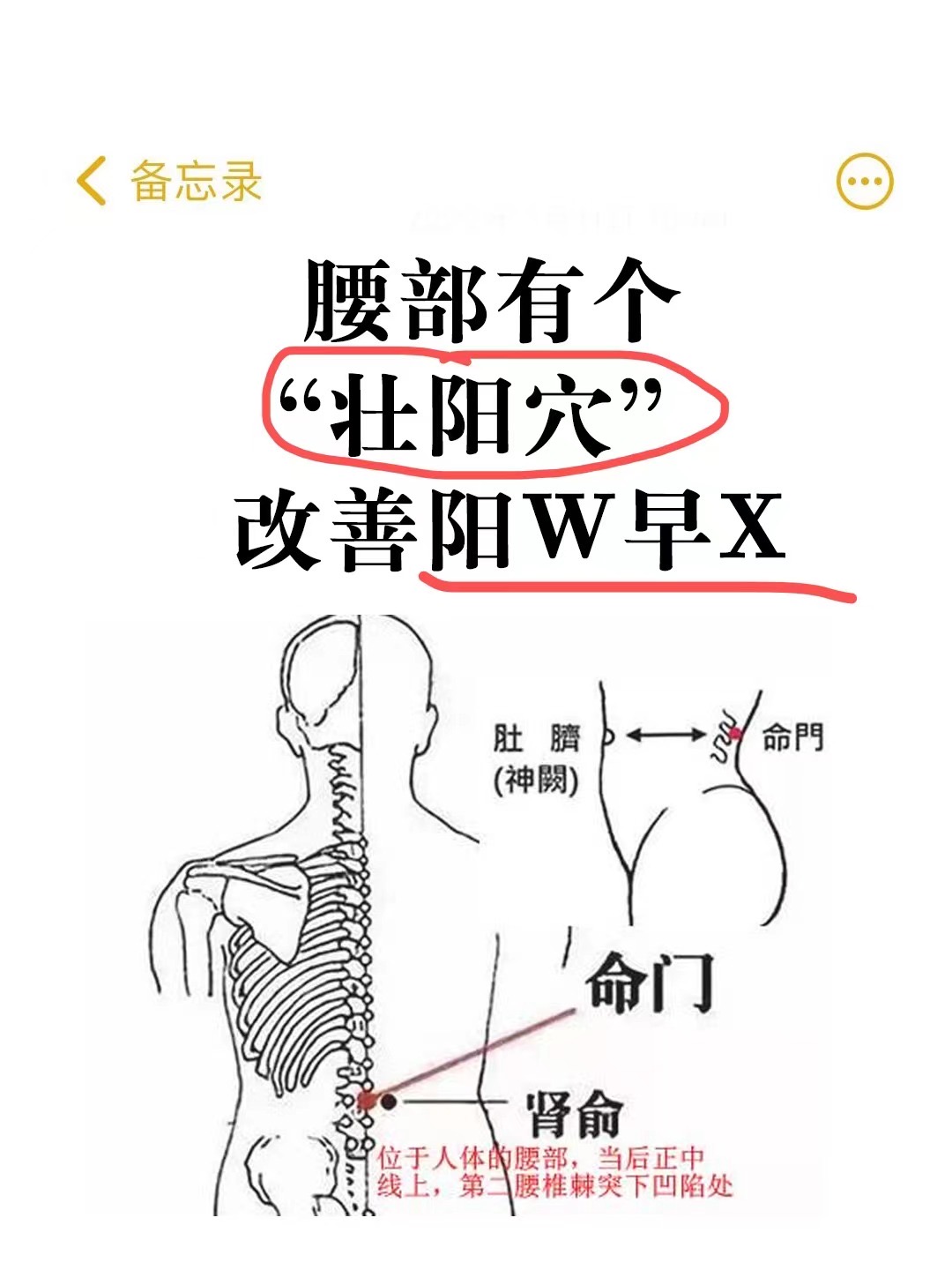 腰部有个壮阳穴