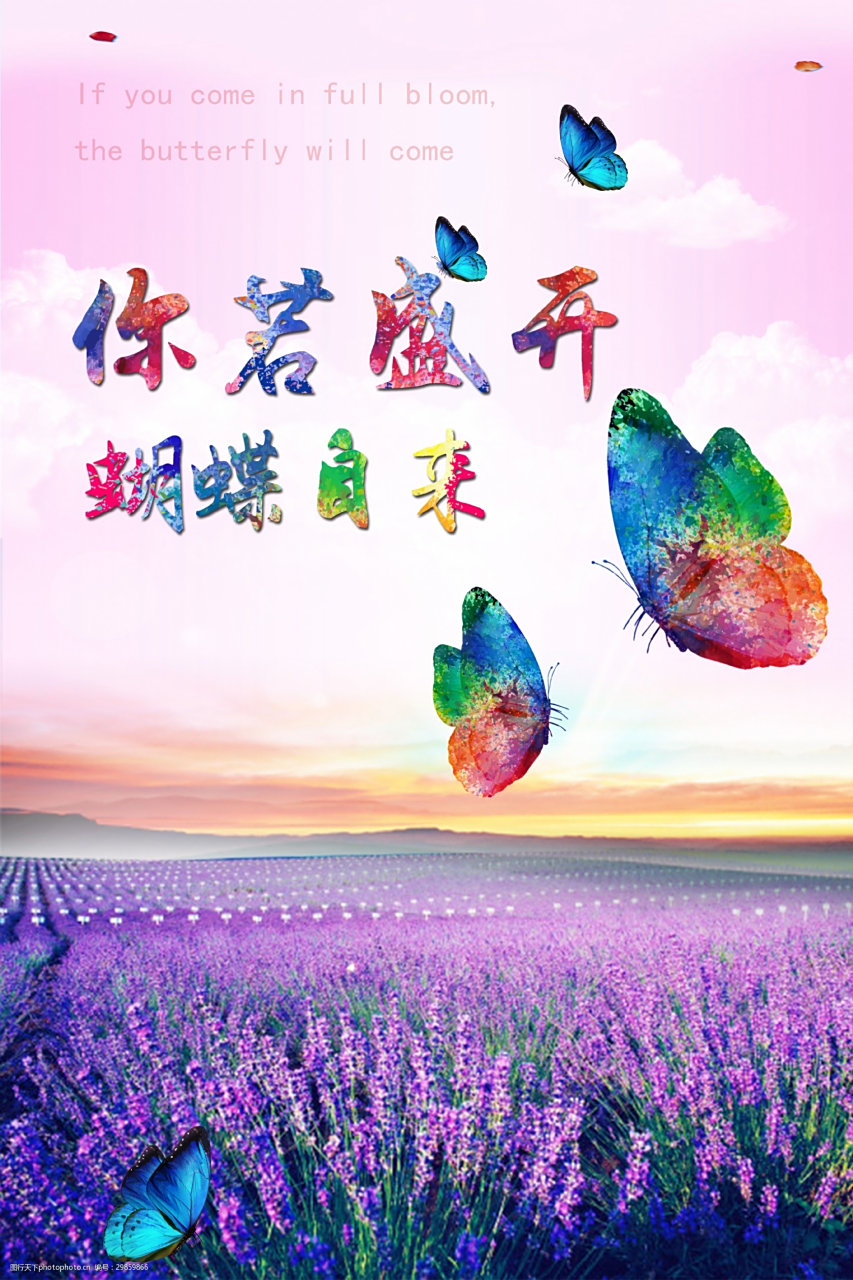 【年轻的时候专注于自我提升】 67你若盛开蝴蝶自