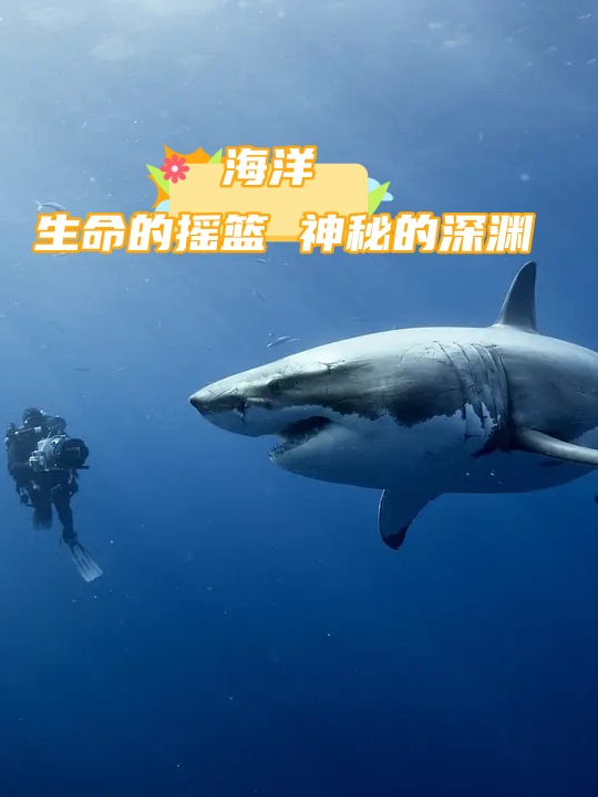 海洋为什么是蓝色的而不是白色的为什么在线 海洋为什么是蓝色的而不是白色的为什么在线