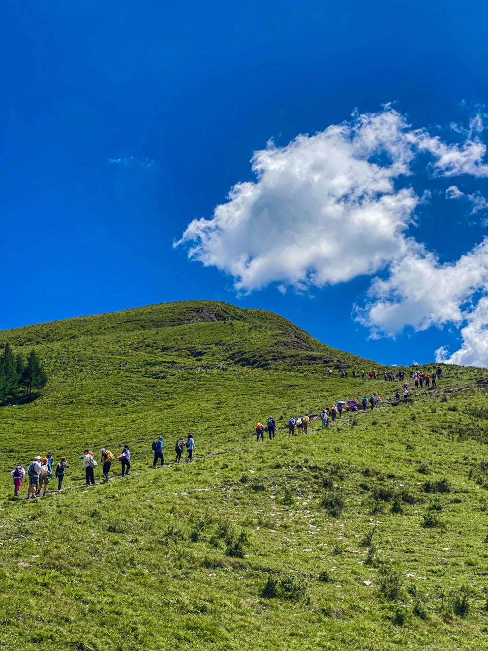 麻田岭风景区图片图片