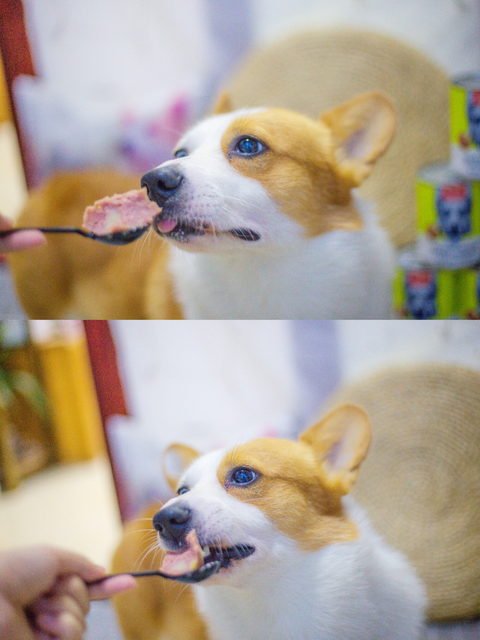 wanpy顽皮 我们这的大润发也卖这个牌子!wanpy顽皮!