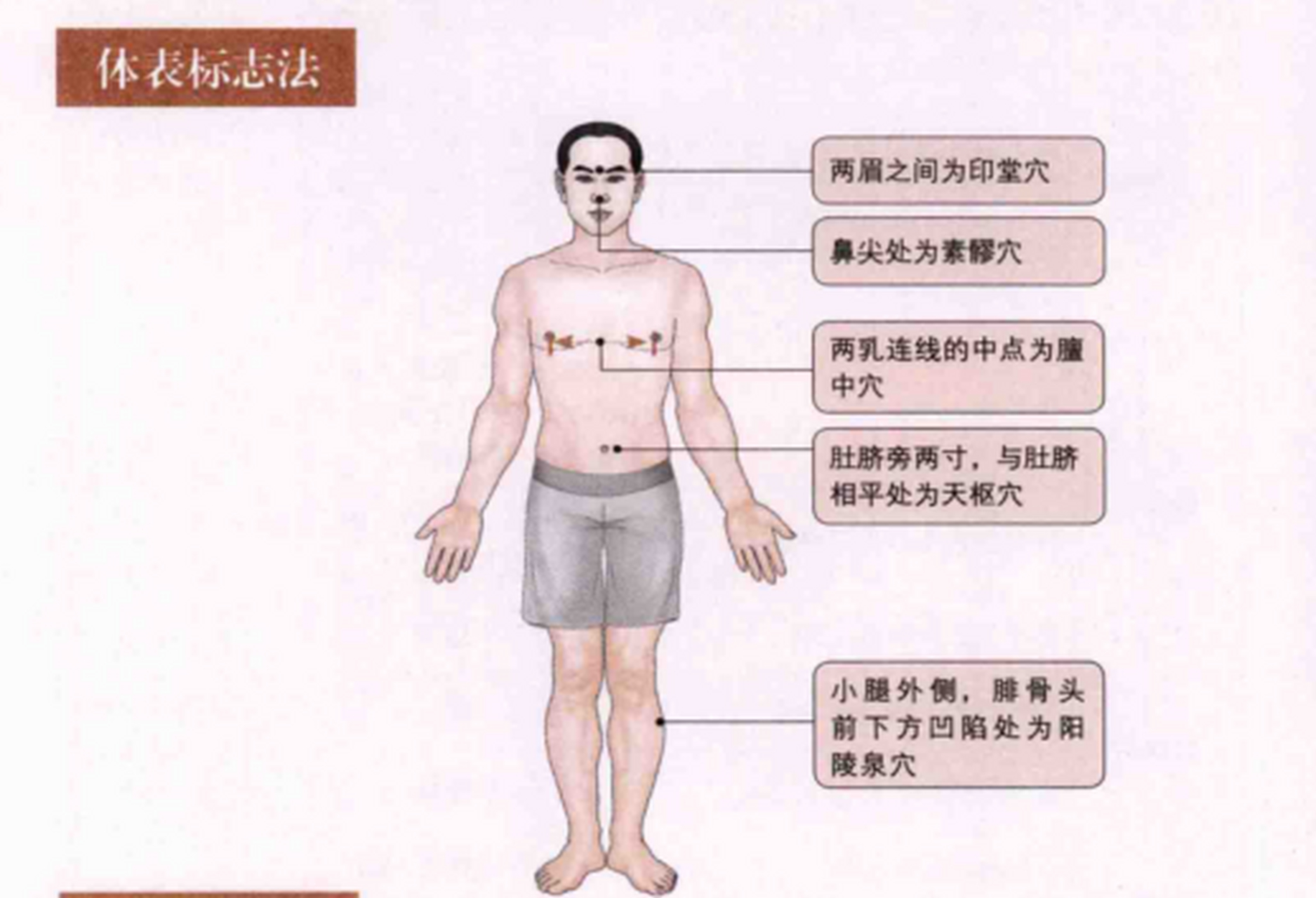 体表标记图片