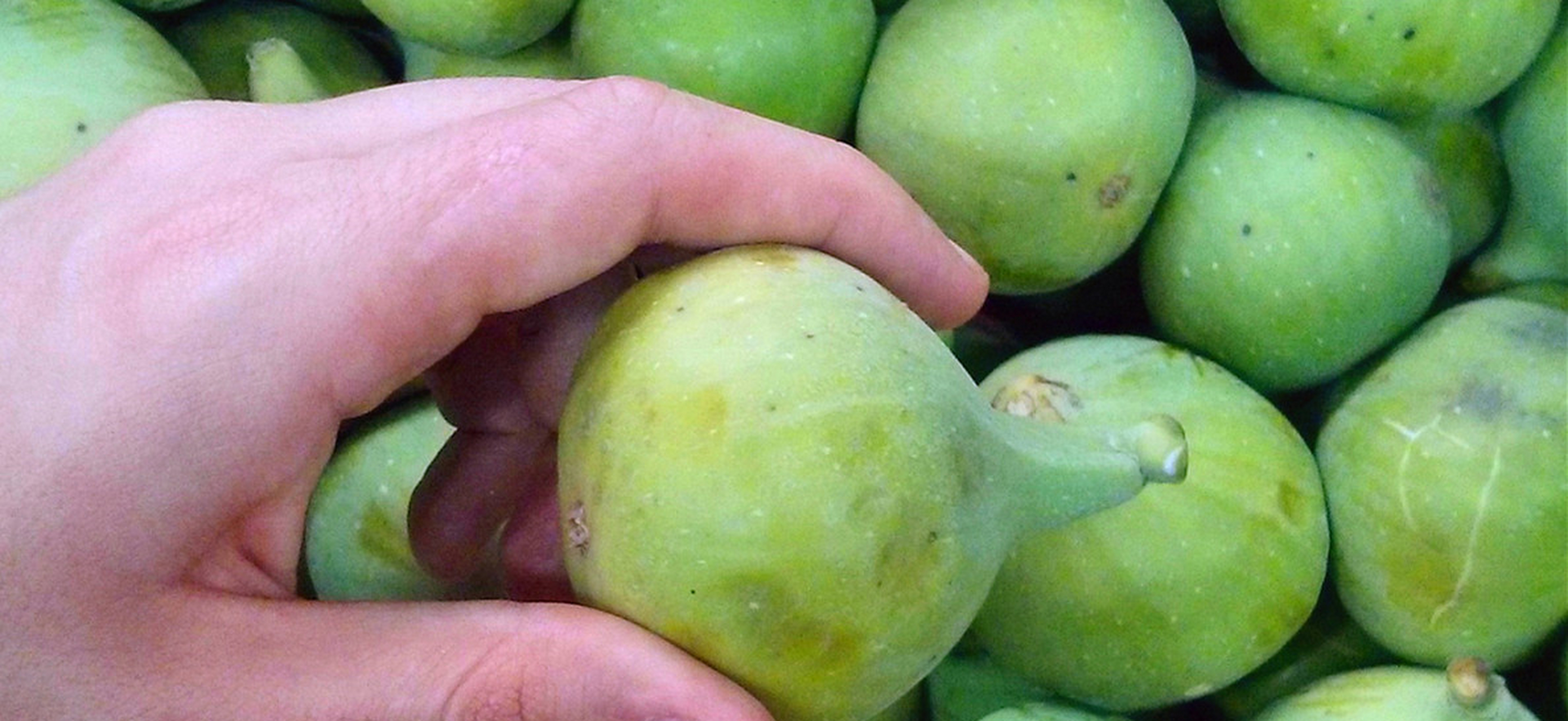 无花果市场价格是多少钱一斤