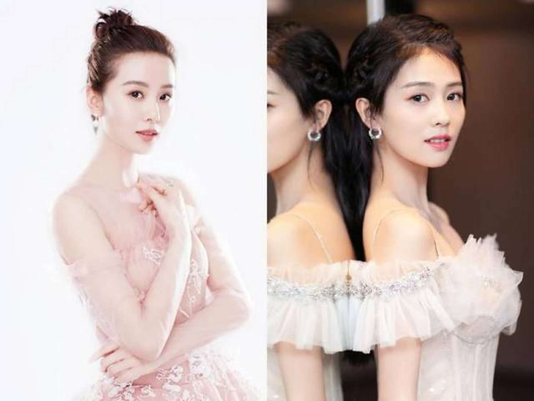 最近网友们将气质女神刘诗诗和新晋新星白鹿放一块对比,发现侧颜相似