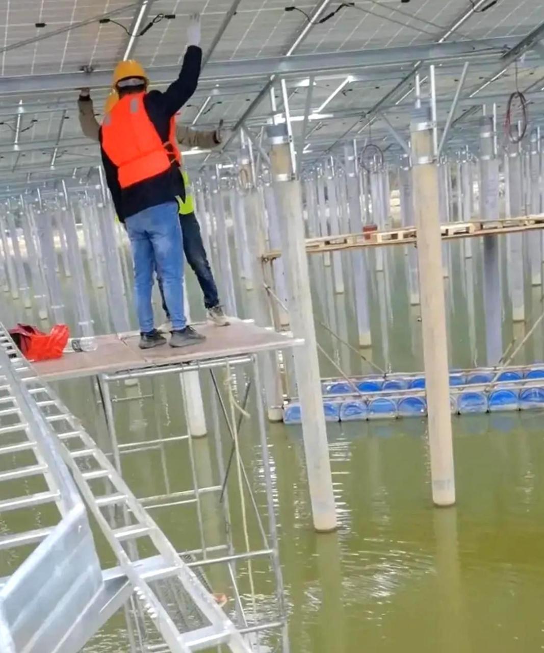 即使给我一天800元,我也无法胆大到有艺术才能.