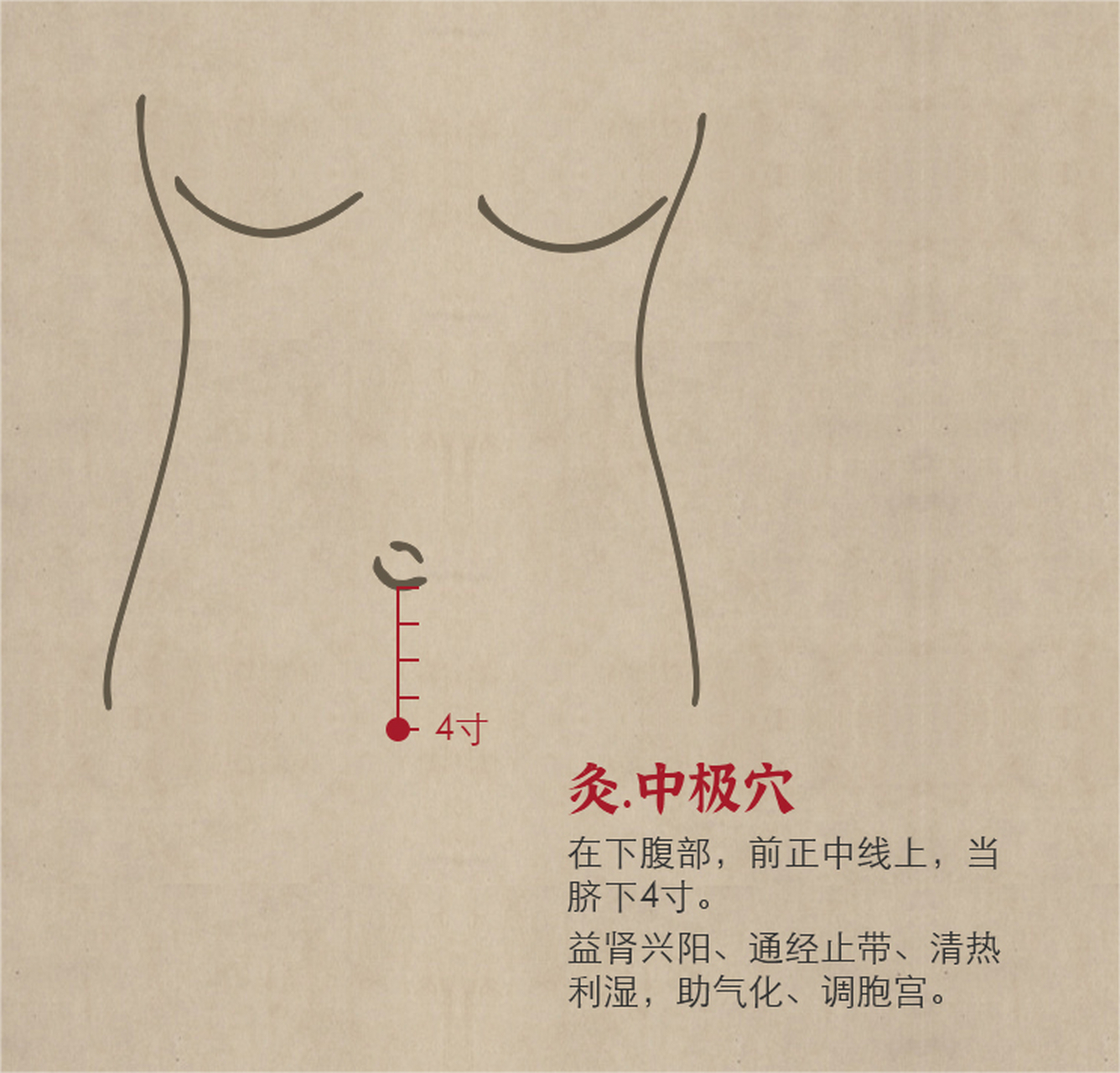 中极穴具有益肾兴阳,通经止带的功效,清热利湿,助气化,调胞宫的作用.